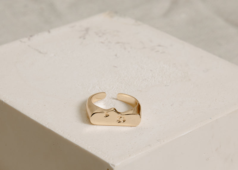 Two Faced Ring